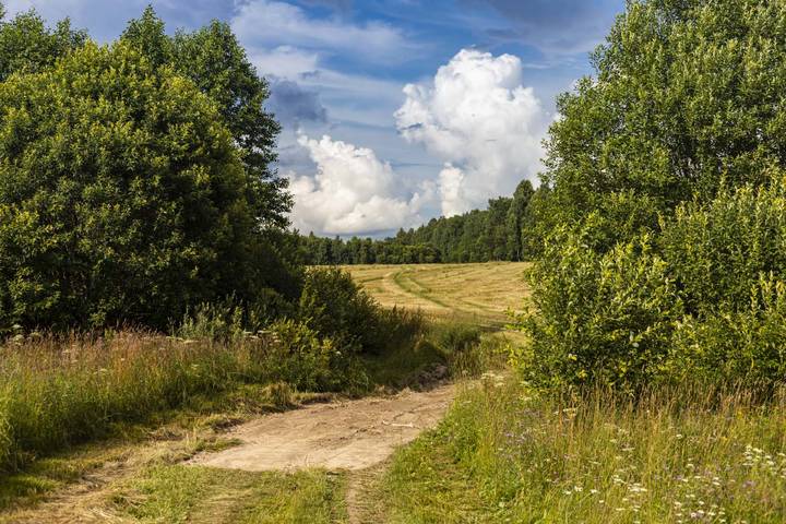 Лето. Жара. Дорога.