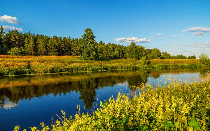В субботу вечером # 04