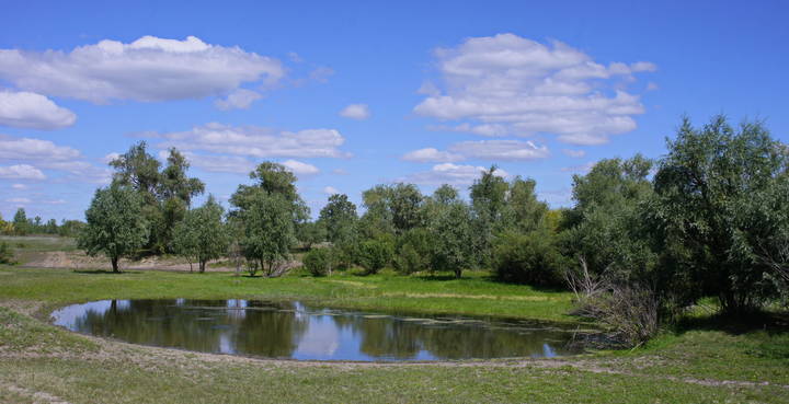 Полдень,пейзаж.