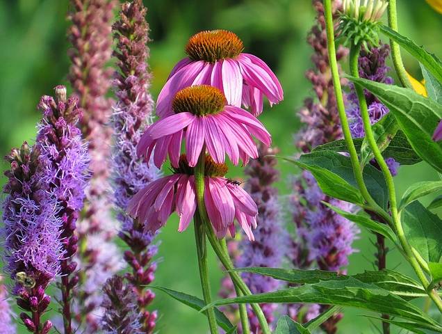 Чем не пагода ?! )