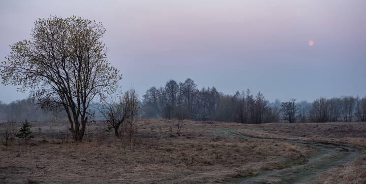 Ранее утро апреля