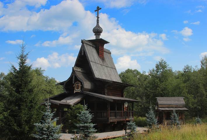 в окружении елей
