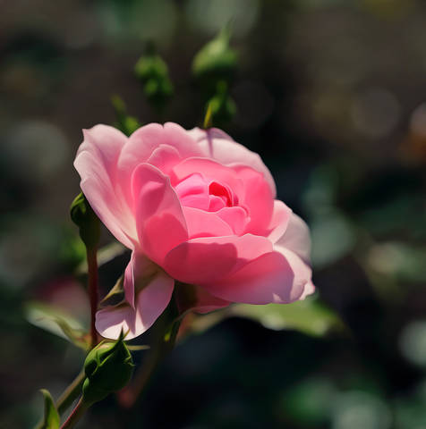 ~*~
