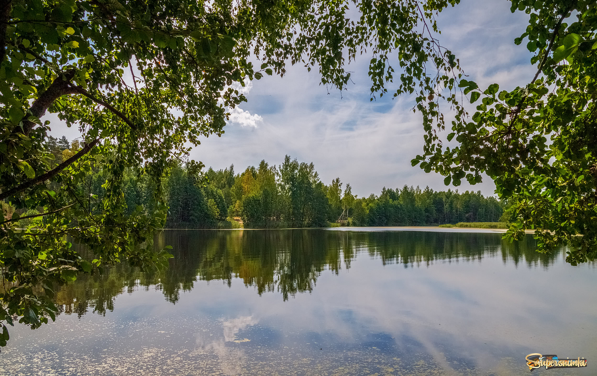Озеро в лесу Август 