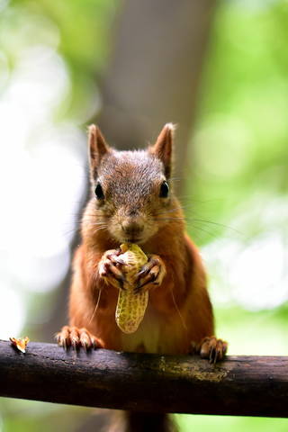 6300cb8ae2cfda1ded0bdff4