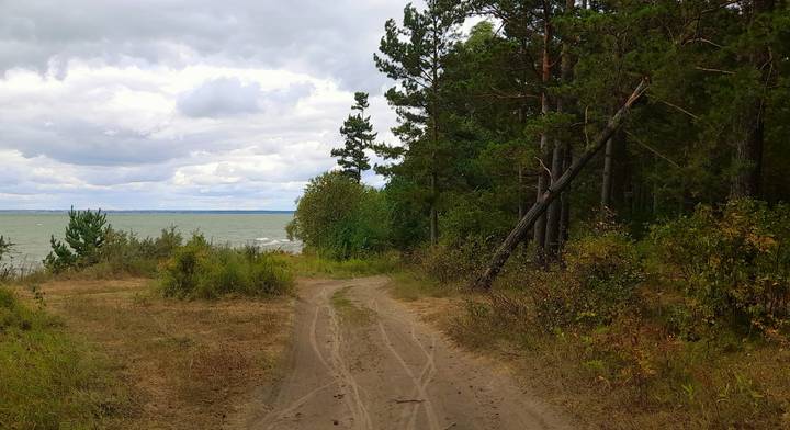На берегу в августе. 