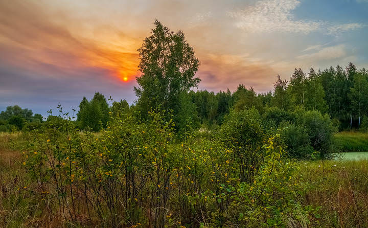 Август, Вечер, Закат 