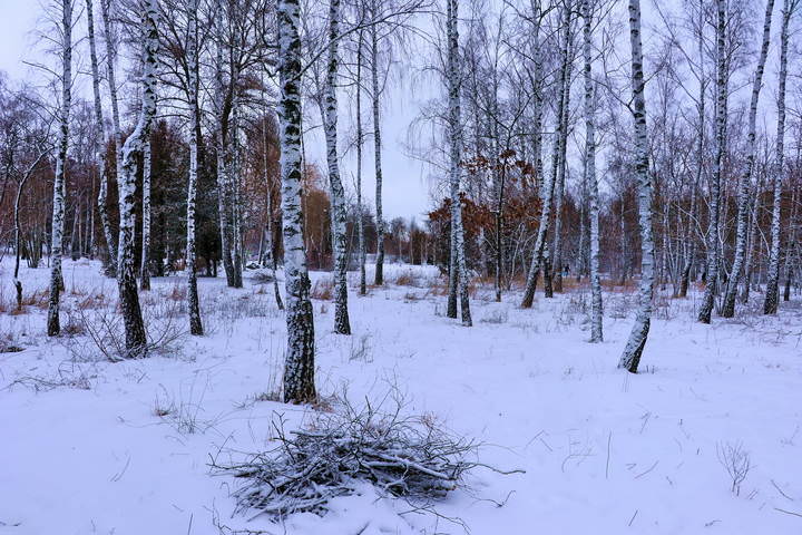  По первому снегу.