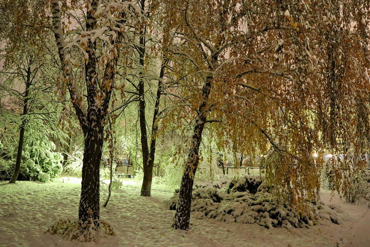  Снегопад.