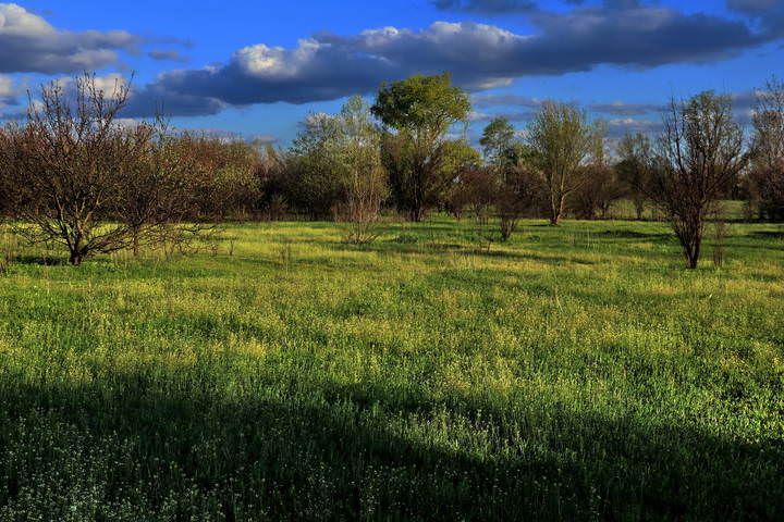  Вечер.