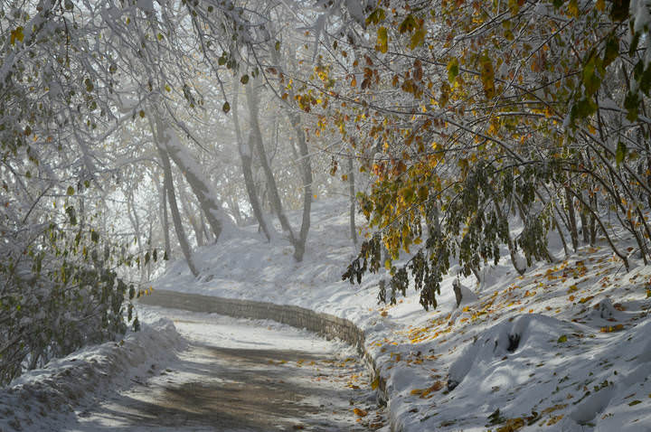 Солнечным утром......