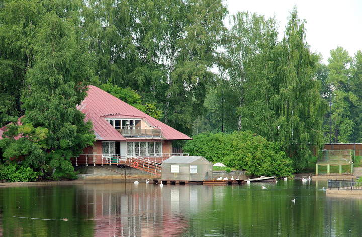 Приморский парк Победы на Крестовском острове (продолжение)