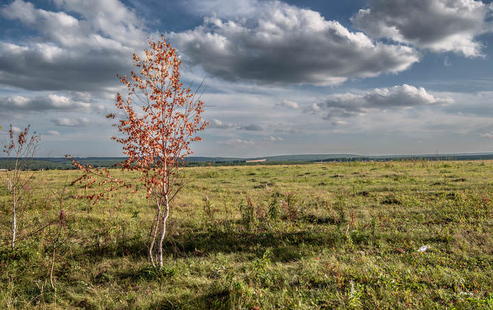 В осеннем наряде.