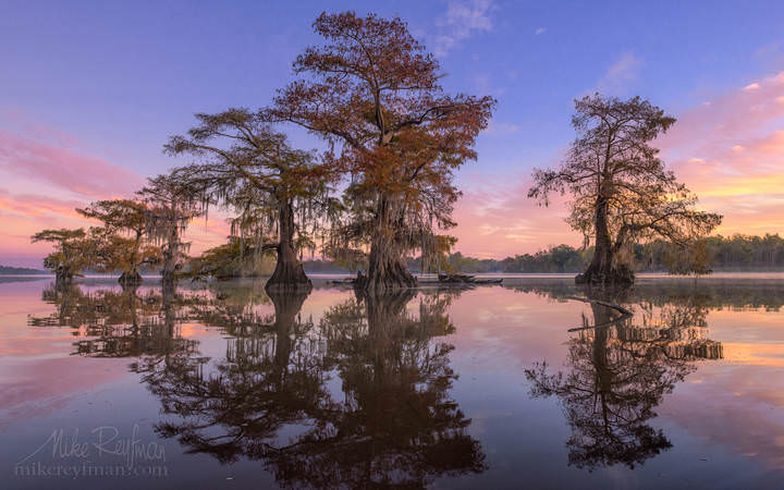 Swamp at Sunrise