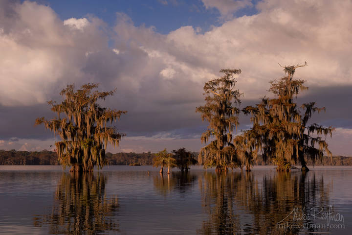 Morning @ the Swamp