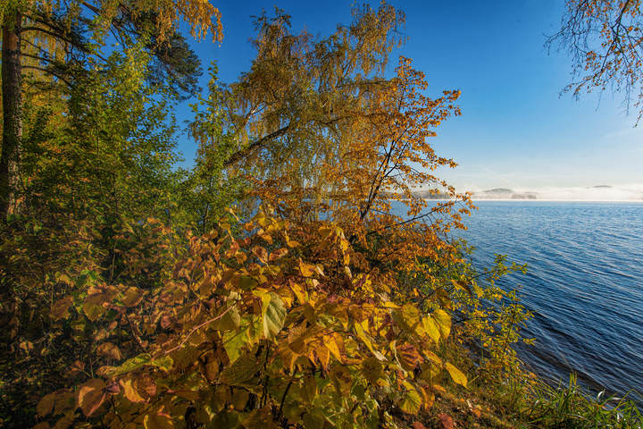 Осеннее утро