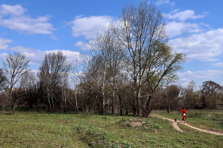  Прогулка,
