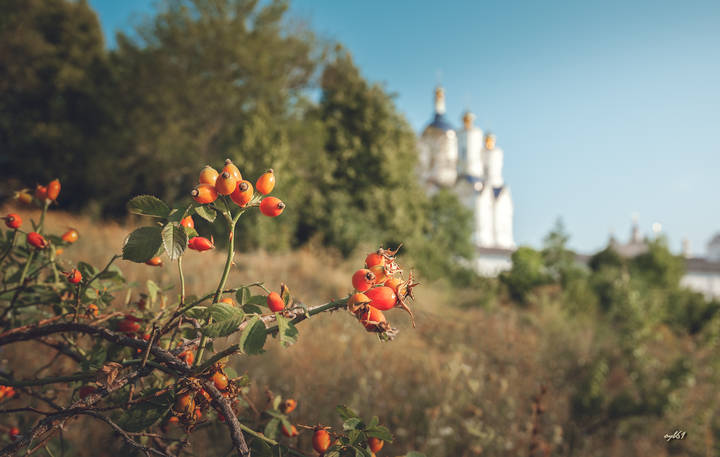 Конец лета