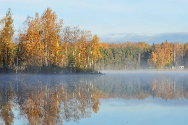 Утром туманным......