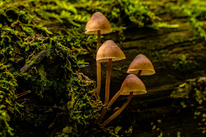 # 3
