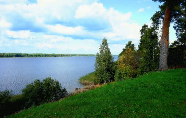 летний день