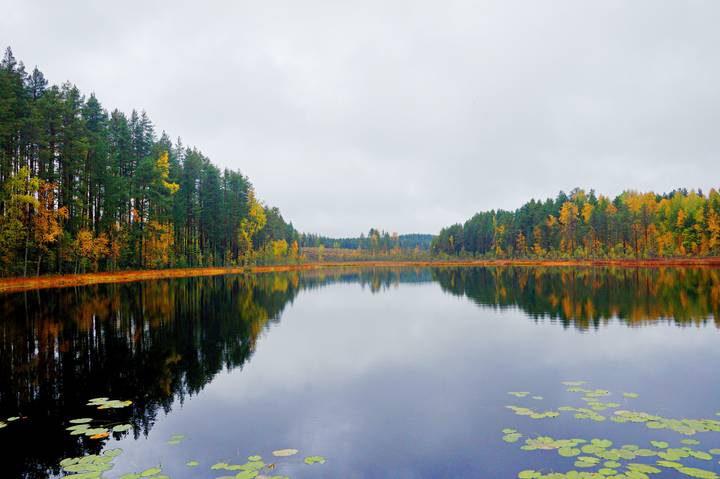 зеркальная гладь
