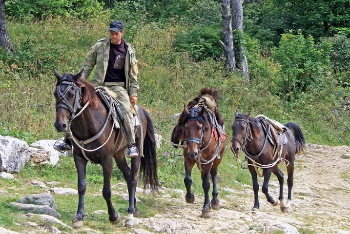 Заповедный край
