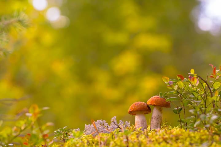 # 1