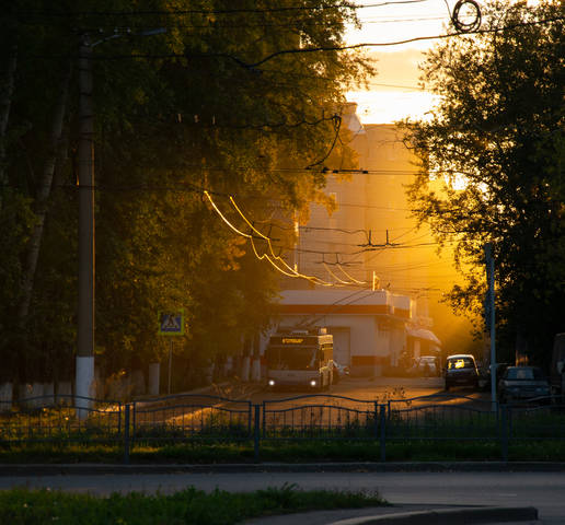 Золотой закат