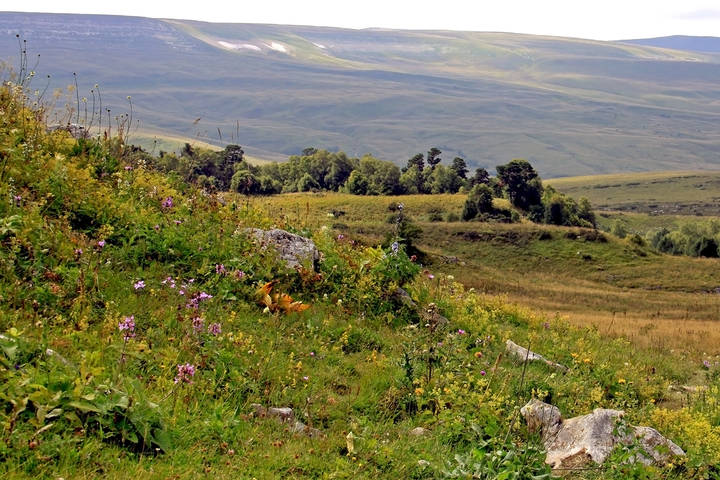 Альпийские луга Лаго-Наки