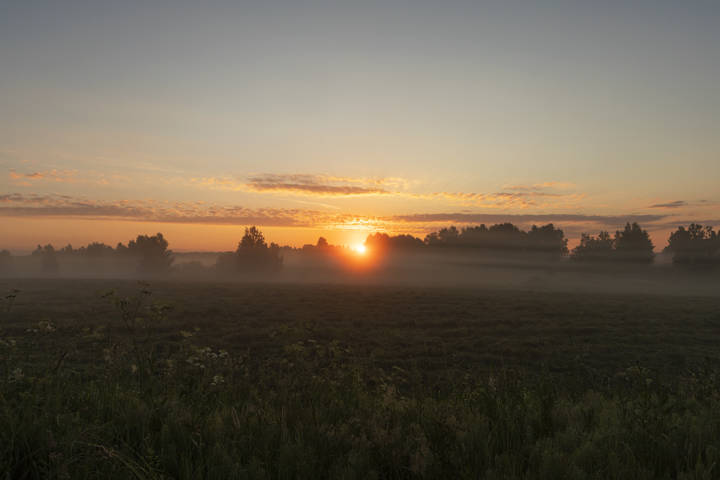 Рассвет