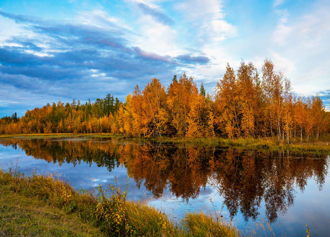 Осень в зеркало глядится, не насмотрится никак)