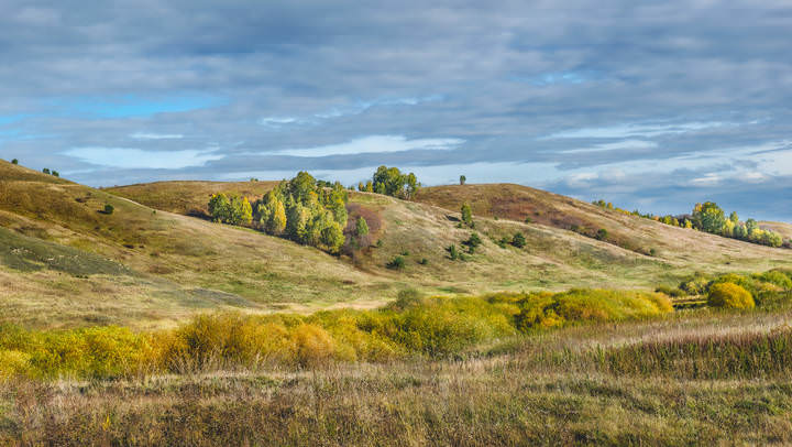 Осенняя палитра.