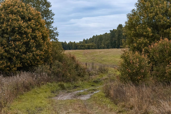 Дорога
