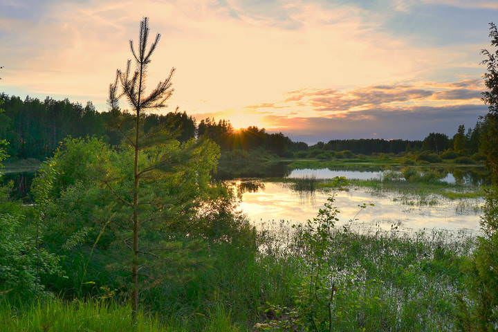 ВЕЧЕР (река Реня) 
