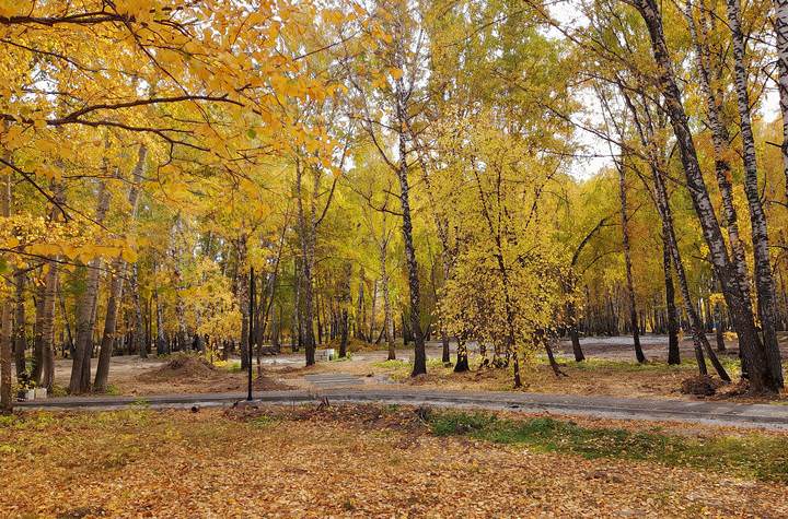 Золотая осень .