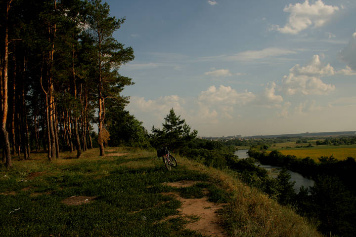 Старица Дона