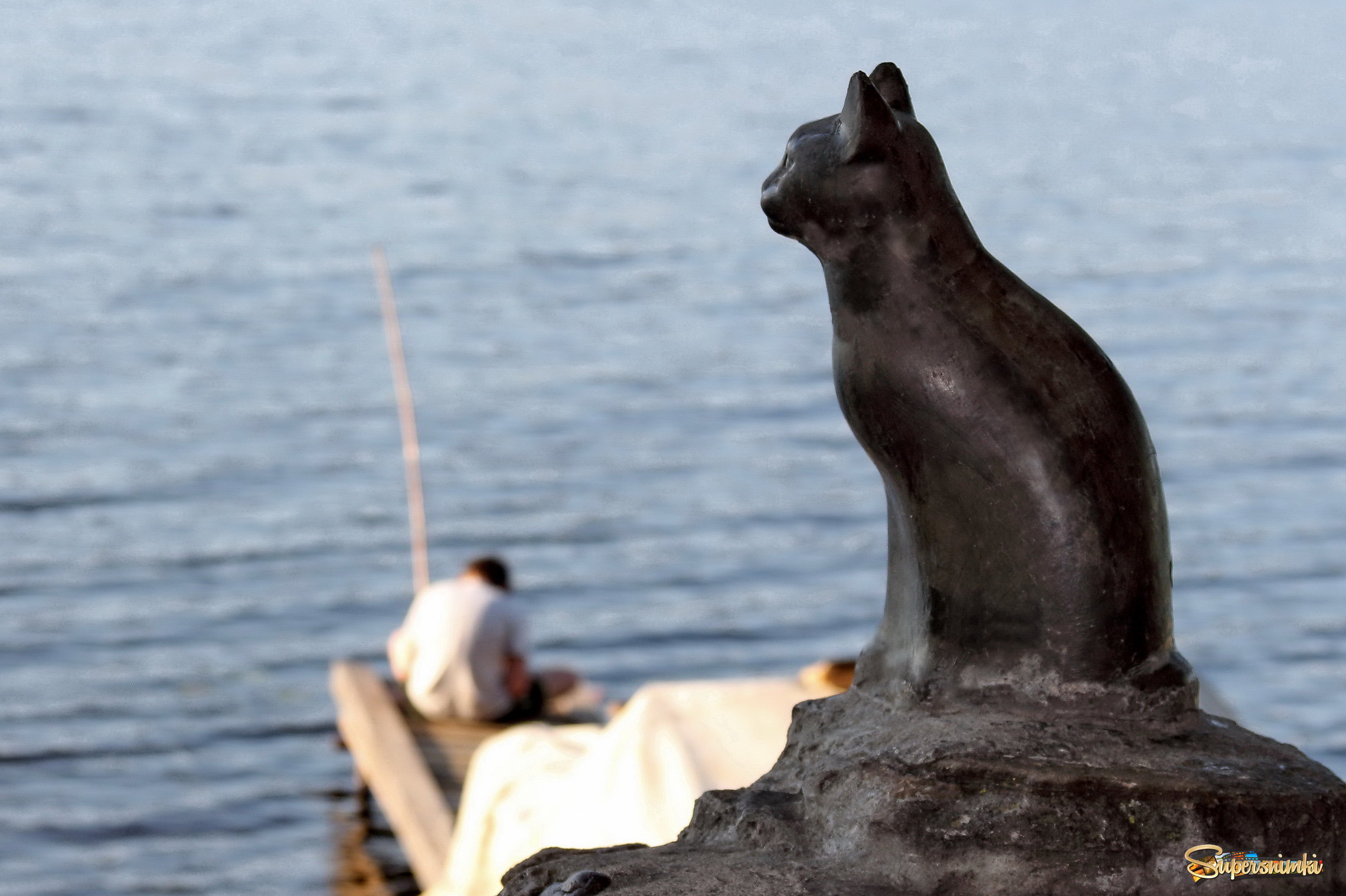  Плёс. Памятник кошке Мухе, ждущей рыбаков.
