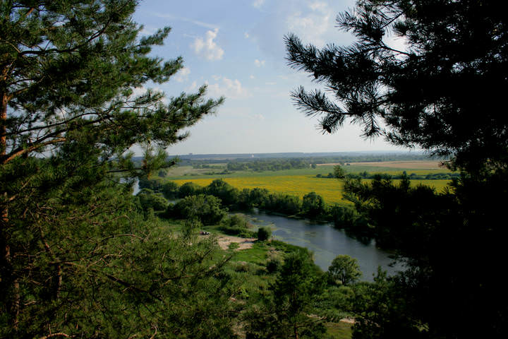 Старица Дона