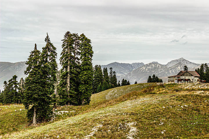 Осень в горах Кавказа.