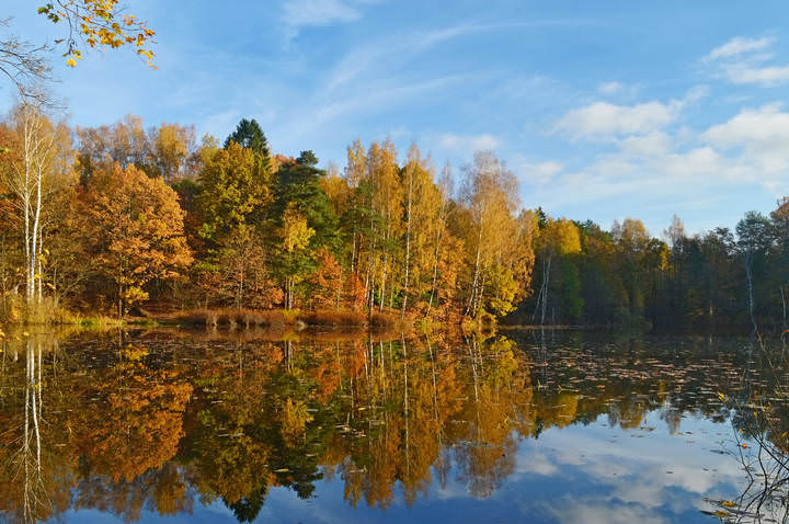 Солнечная осень......
