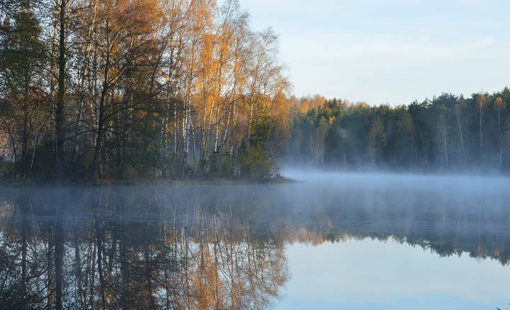 Утром холодным.....