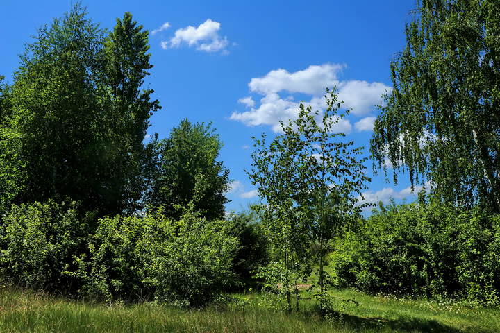  Весна, облако.
