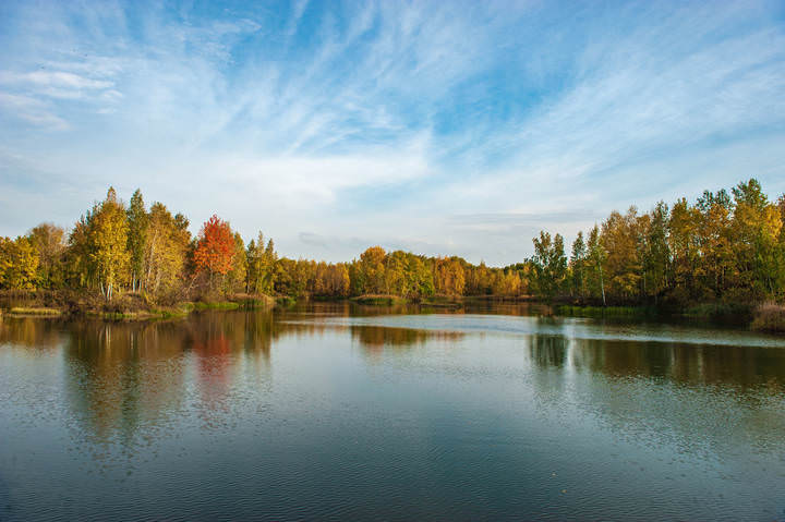 осень