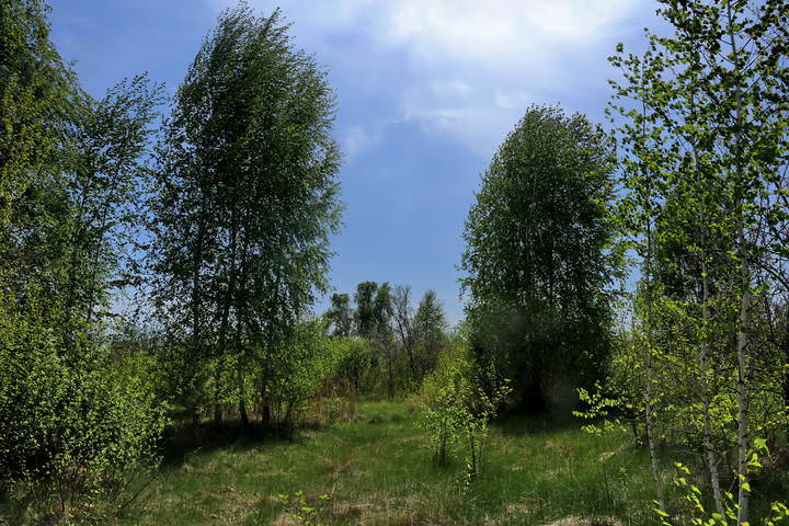  Весна, облако.