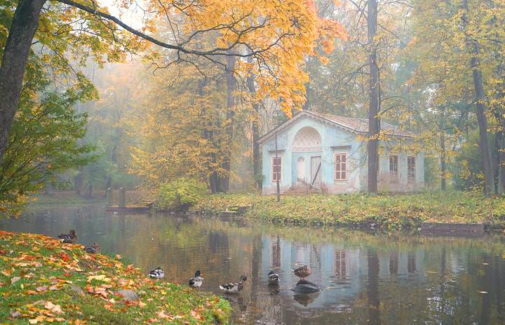 Осеннее утро