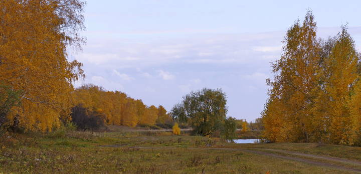 Осень октября.