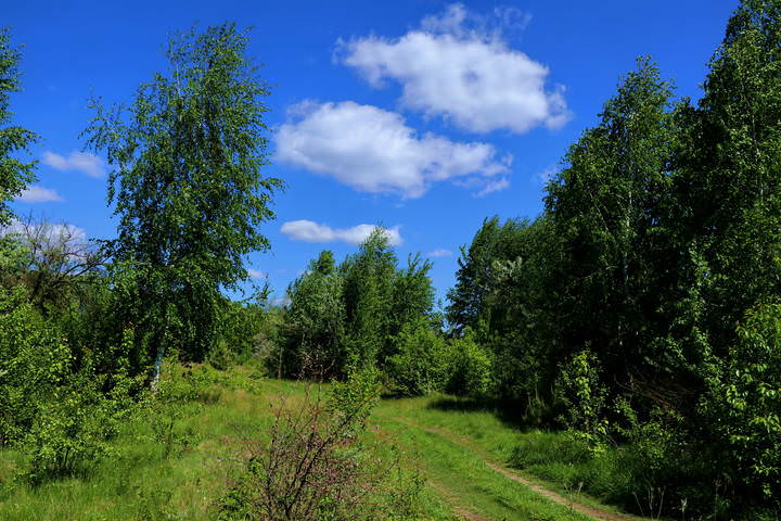  Весна, облако.