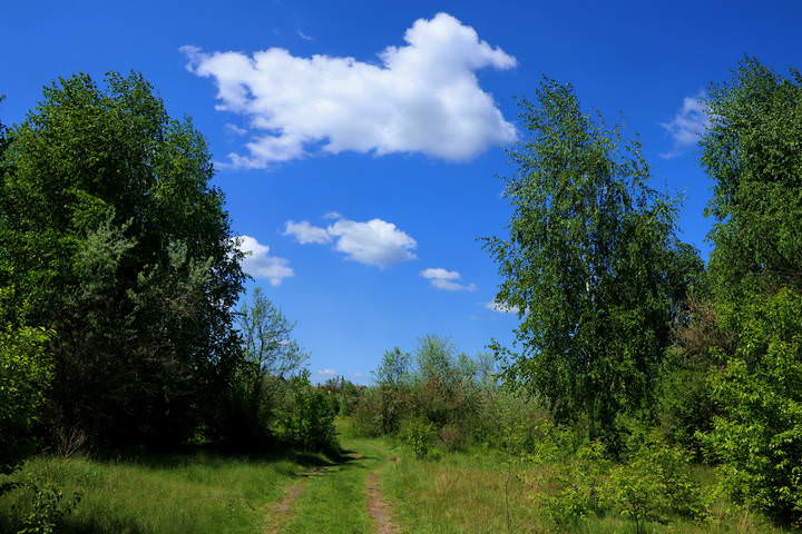  Весна,  облако.
