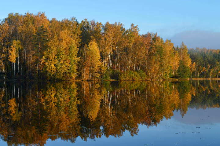 Утреннее......